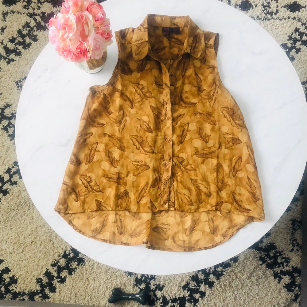 NWOT Fall Sheer buttoned down blouse